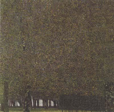 Gustav Klimt The Park (mk20) France oil painting art